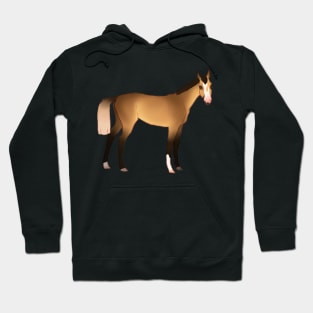 Buckskin Horse Hoodie